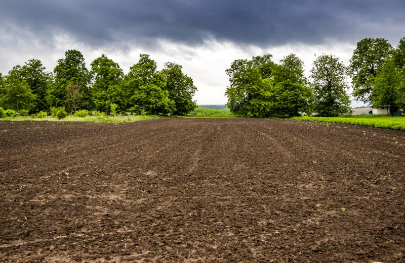 Property Line Clearing in Katy, TX